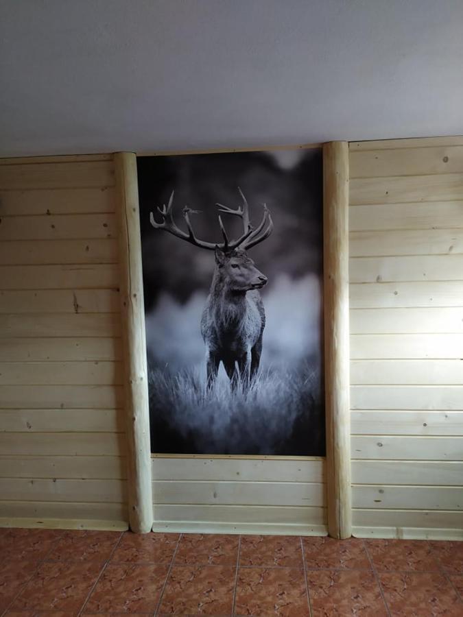 Janos Pokoje Goscinne Białka Tatrzańska Extérieur photo